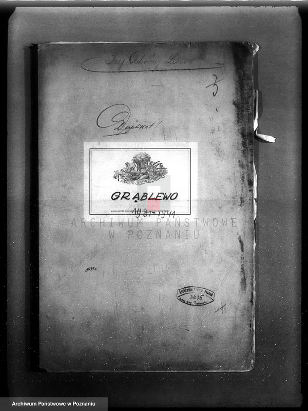 Obraz 4 z jednostki "Plan urządzenia gospodarstwa leśnego dla lasu majętności Grąblewo w powiecie nowotomyskim"