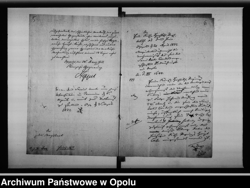 Obraz 8 z jednostki "Acta betreffend die Übergabe der zur Einrichtung des hierortigen Kantonements Lazareths für die Truppen des aufgestellt gewesenen Oder Kordons erforderlich gewesenen Utensilien und deren Verkauf"