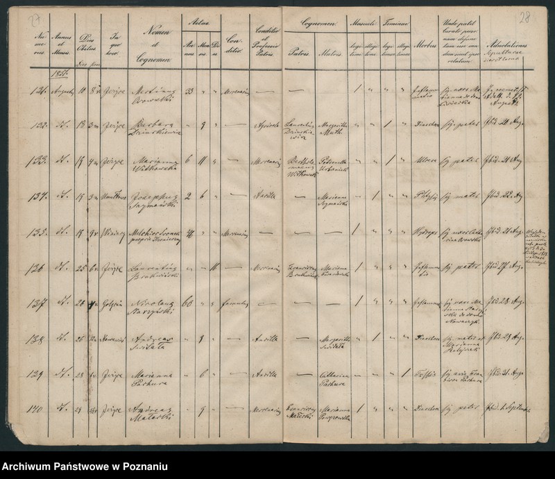 Obraz 16 z jednostki "Księga zgonów"