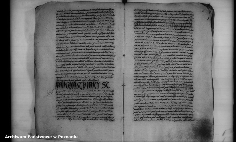 Obraz 10 z jednostki "Inscriptiones [inducta]"