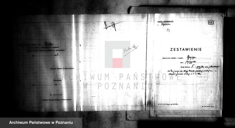 Obraz 17 z jednostki "Operat szacunkowy majątku Czajcze powiatu wyrzyskiego"