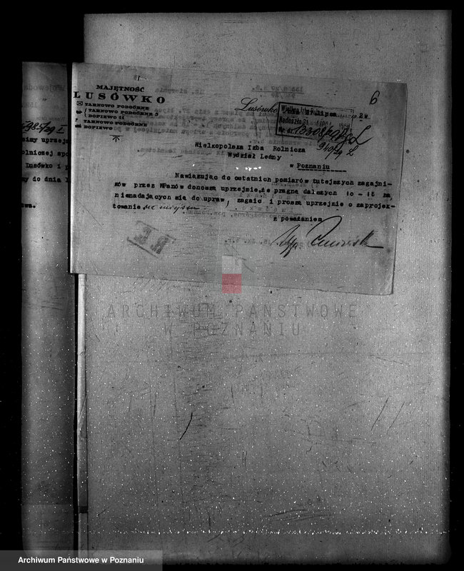 Obraz 10 z jednostki "Zarząd majętności Lusówko powiat poznański/ nadzór nad gospodarką leśną/"