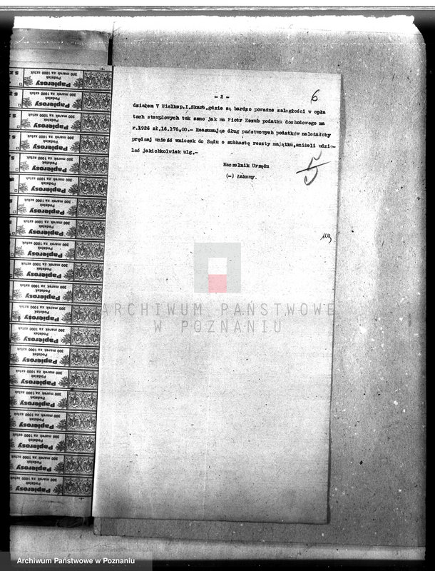 Obraz 10 z jednostki "Majętność leśna Chalin powiat międzychodzki"