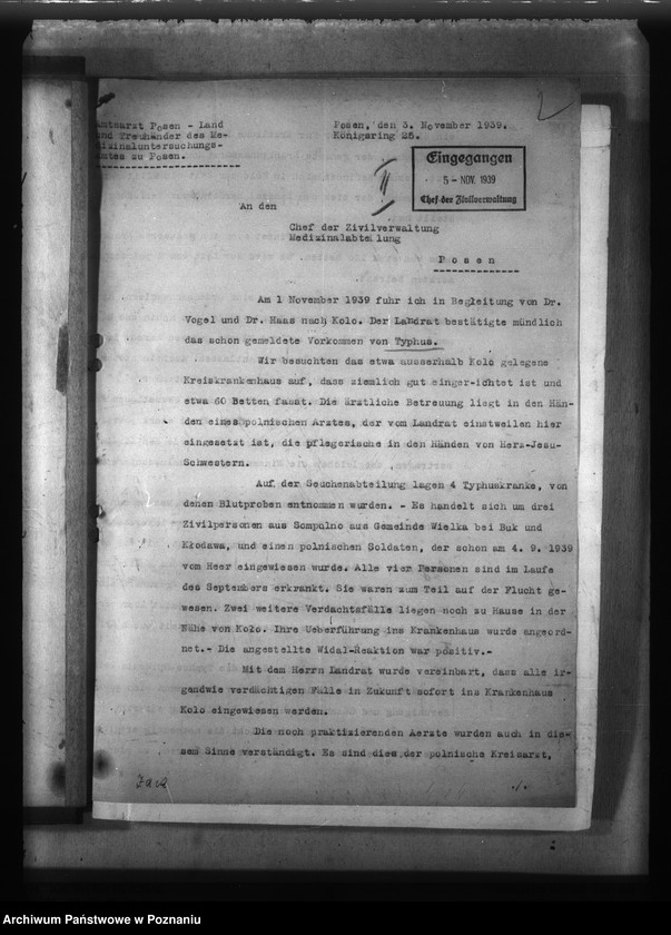 Obraz 6 z jednostki "Typhus"