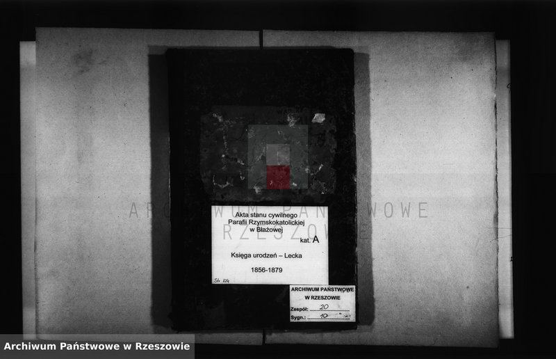 image.from.unit "Księga urodzeń - Lecka"