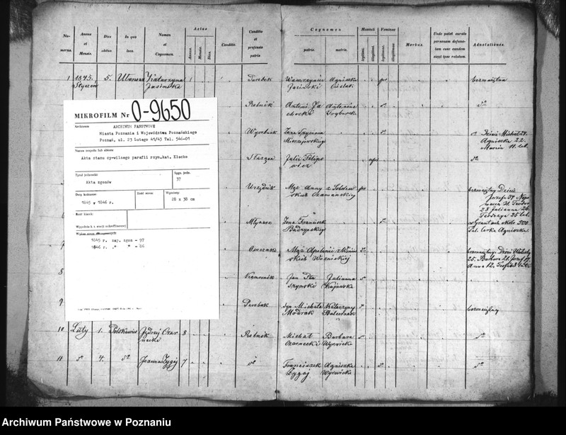 image.from.unit.number "Specyfikacja zmarłych"