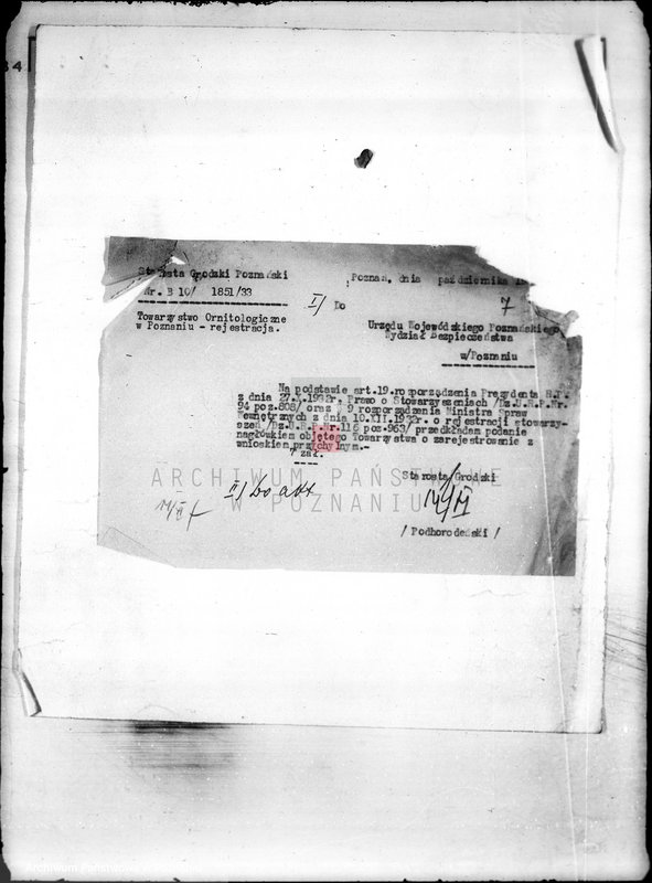 Obraz 12 z jednostki "/Towarzystwo Ornitologiczne w Poznaniu/"