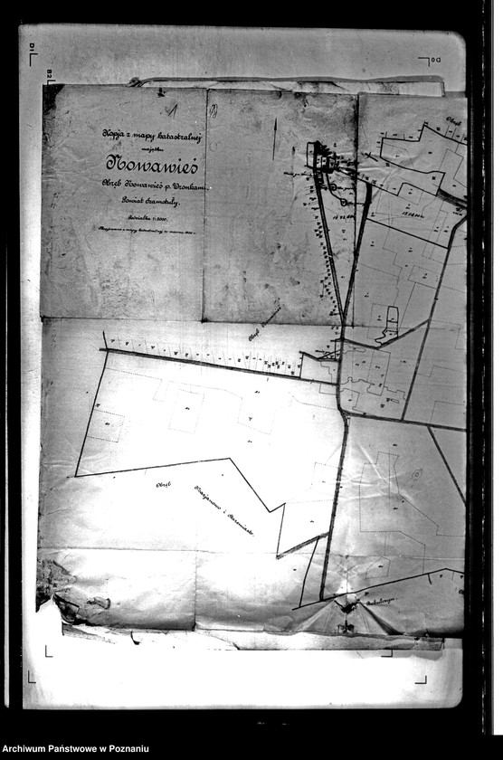 Obraz 5 z jednostki "/Kopie z mapy katastralnej majątku Nowawieś powiatu szamotulskiego/ skala 1:5000"