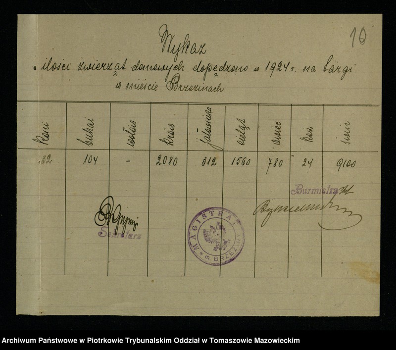 image.from.unit.number "Statystyka Mag[istratu] miasta Brzezin"