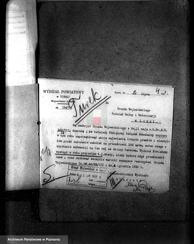 Obraz 8 z jednostki "Zalesienie nieużytków powiatu tureckiego"