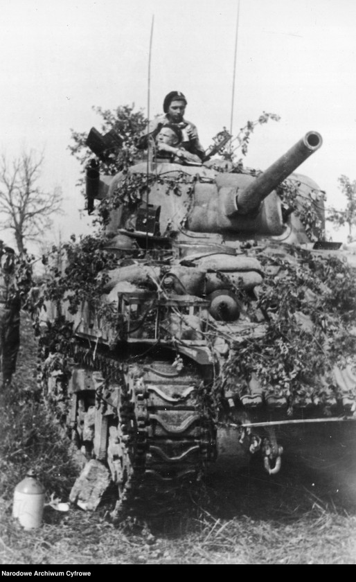 image.from.unit.number "Samodzielna 2 Brygada Pancerna 2 Korpusu Polskiego w bitwie o Monte Cassino"