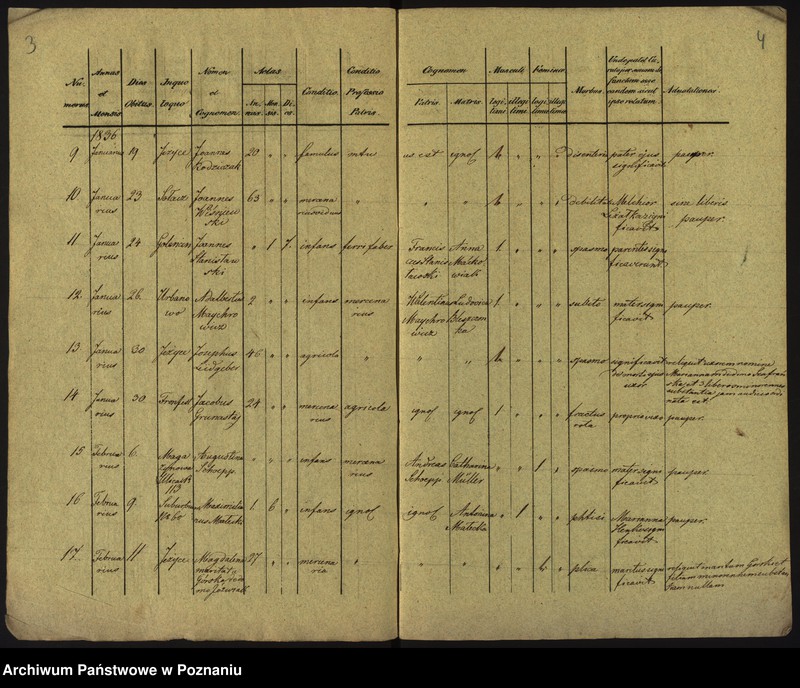 Obraz 5 z jednostki "Księga zgonów"