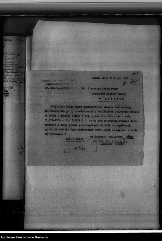 Obraz 13 z jednostki "Gmina Brzeźno powiat koniński /nadzór nad gospodarką leśną/"