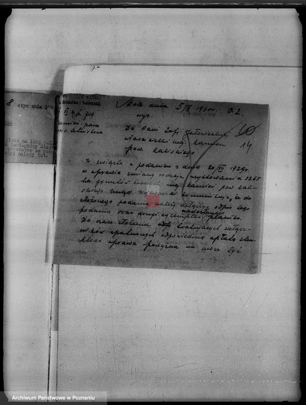 Obraz 18 z jednostki "Majątek Kamień powiat kaliski /sprawy leśne/"