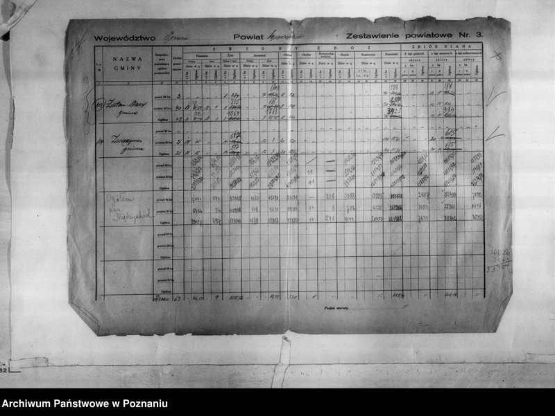 Obraz 12 z jednostki "/Statystyka produkcji rolnej - zestawienie powiatowe - Międzychód/"