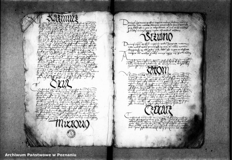 Obraz 8 z jednostki "Inscriptiones, relationes, decreta [inducta]"