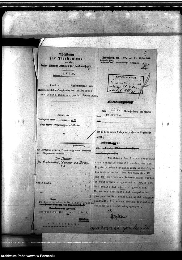 Obraz 7 z jednostki "Nosacizna - Grudziądz"