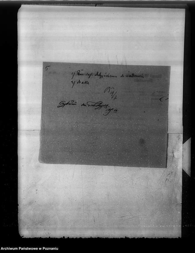 Obraz 9 z jednostki "Komisarze ochrony lasów"