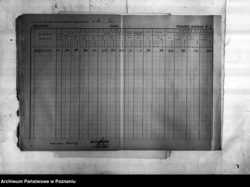 Obraz 10 z jednostki "/Statystyka produkcji rolnej - zestawienie ogólne z powiatu chodzieskiego"