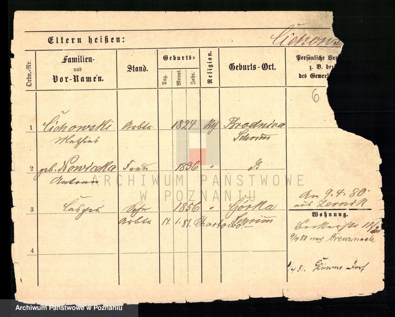 Obraz 8 z jednostki "Cichoń - Cieloszyk"