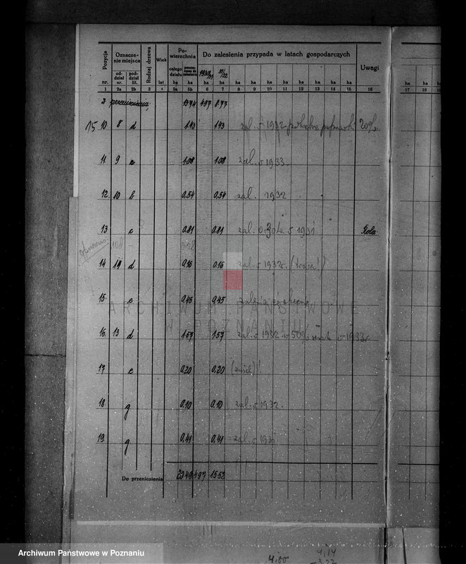 Obraz 19 z jednostki "/Nadzór nad lasami/ majątku Gębice powiatu czarnkowskiego"