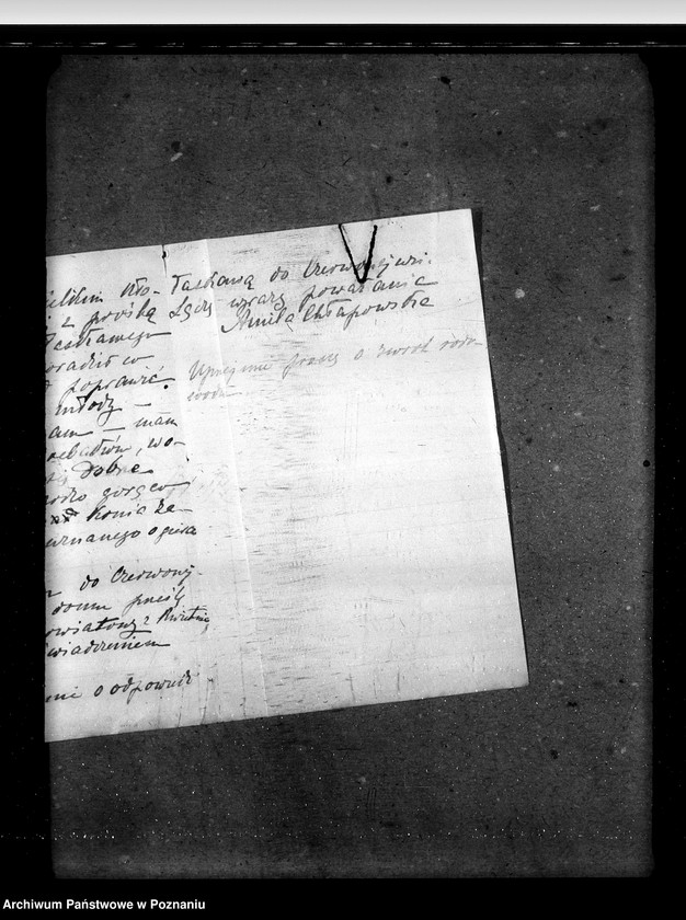 image.from.unit.number "Sprawy stadnin ogiery nielicencjonowane"