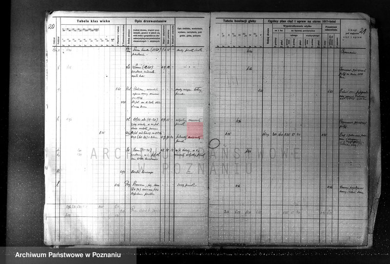 Obraz 20 z jednostki "Plan urządzania gospodarstwa leśnego dla lasu majętności Borówkowo-Stare i Piotrkowice powiat kościański"