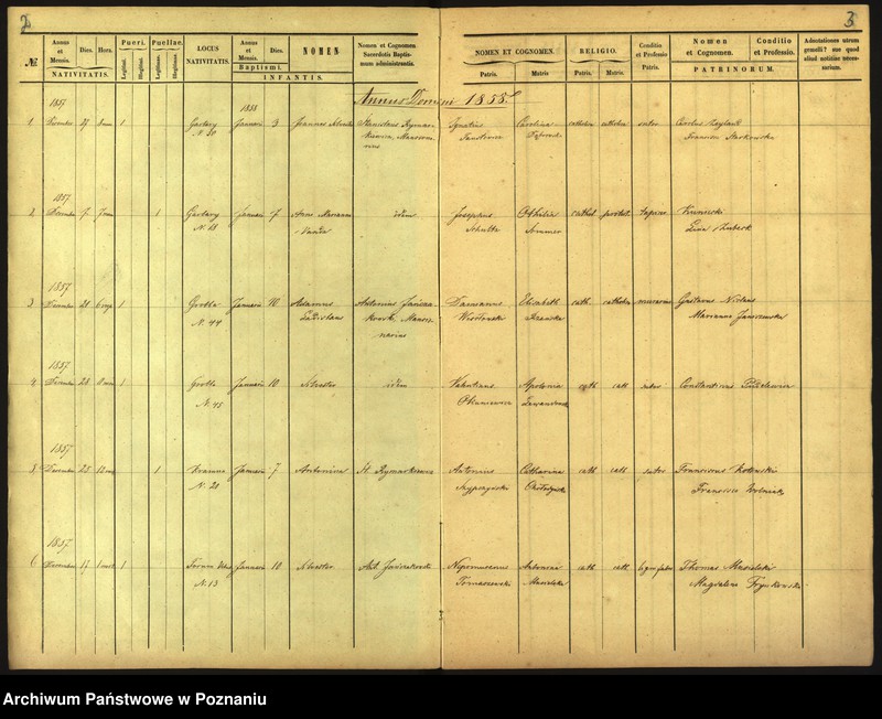 Obraz 4 z jednostki "Księga urodzin"