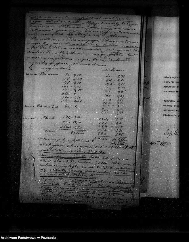 Obraz 9 z jednostki "Majętność leśna Wioska powiat wolsztyński"