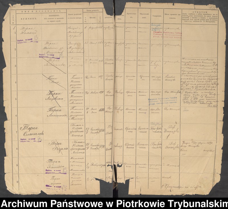 Obraz 9 z jednostki "Kniga postoânnago narodonaseleniâ der. Ignacov˝, Aleksandropol´ [Ignaców, Pieńki]"