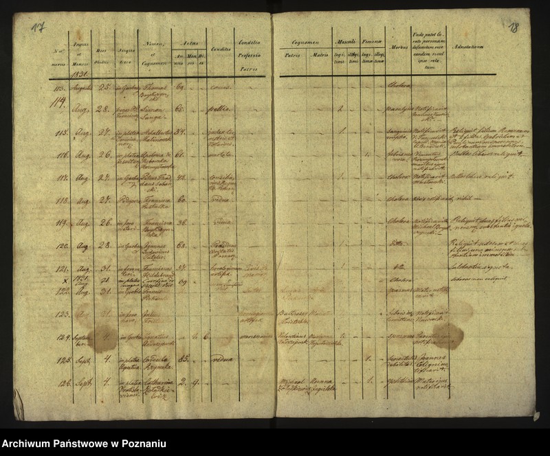 Obraz 12 z jednostki "Księga zgonów"