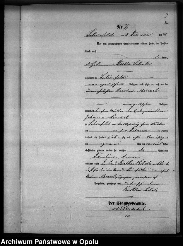 Obraz 10 z jednostki "Geburts-Haupt-Register Standesamts Schönfeld pro 1878"