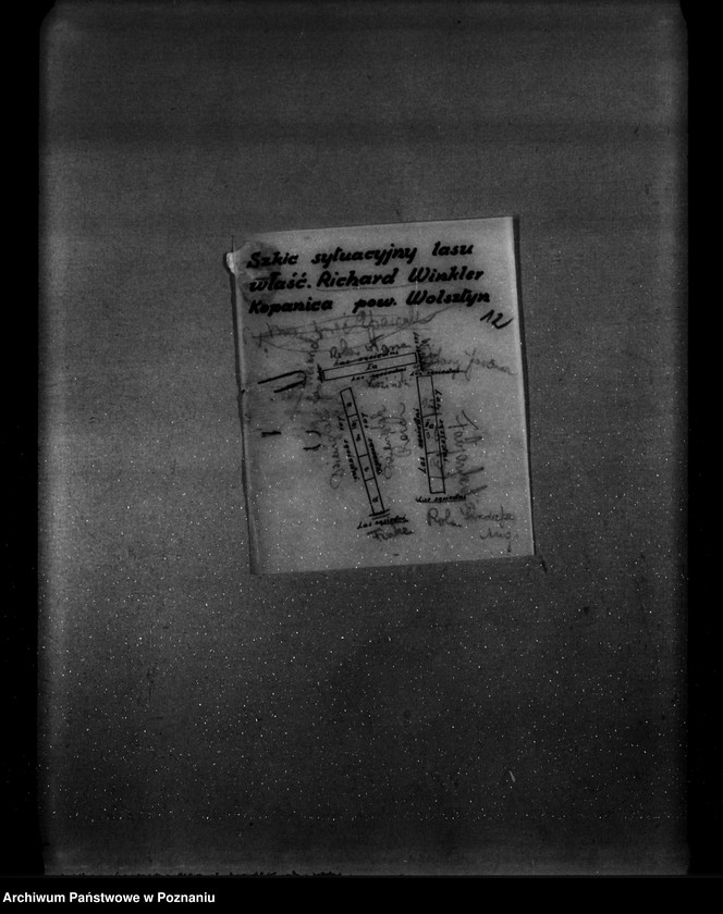 Obraz 20 z jednostki "/Program gospodarstw leśnych znajdujących się na terenie powiatu wolsztyńskiego/"