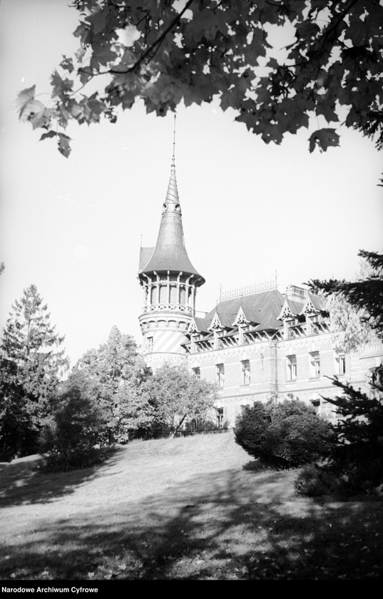 image.from.unit.number "Białowieża"