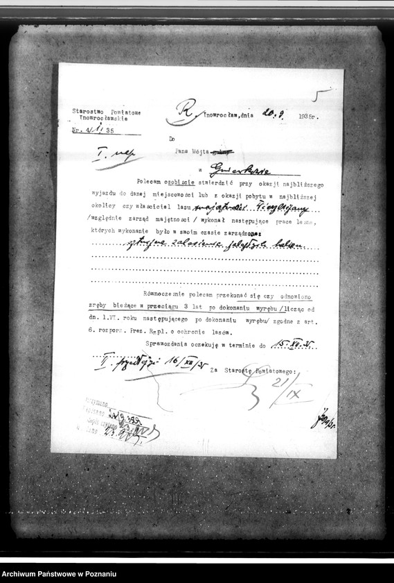 Obraz 9 z jednostki "Las majętności Wierzbiczany w powiecie inowrocławskim"