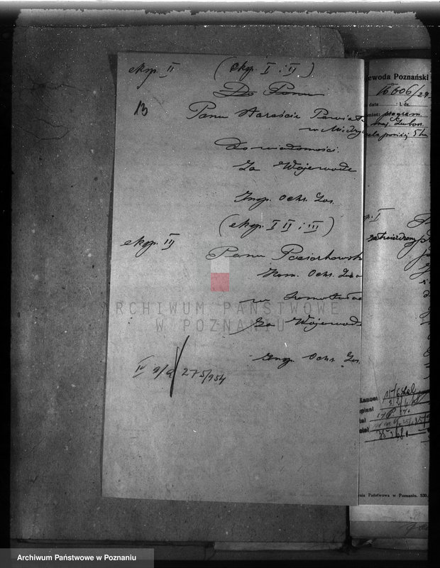 Obraz 17 z jednostki "Majętność leśna Niemierzewo w powiecie międzychodzkim"