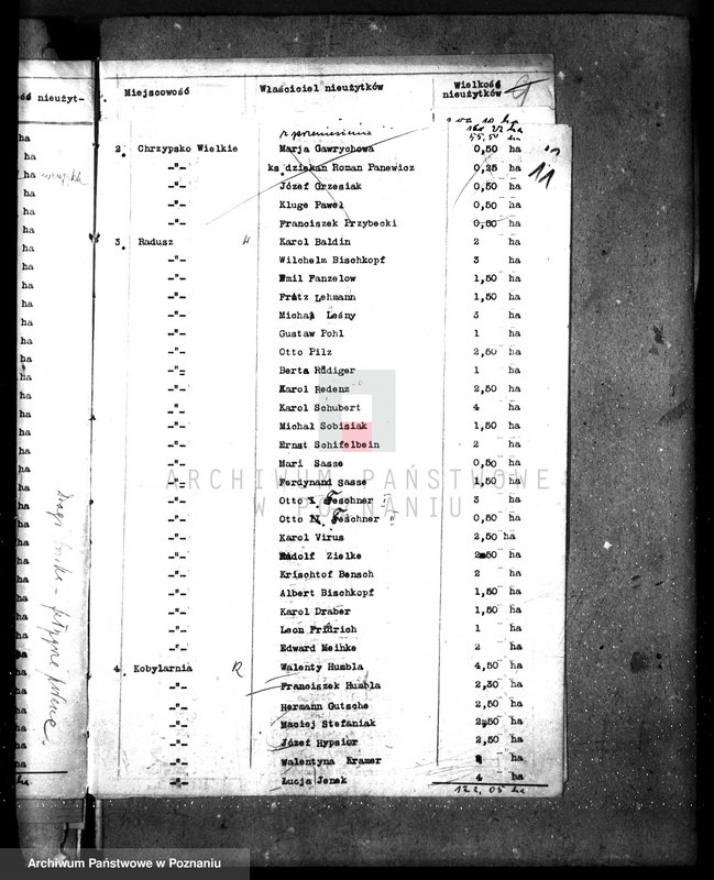 Obraz 15 z jednostki "Zalesienie nieużytków w powiecie międzychodzkim"