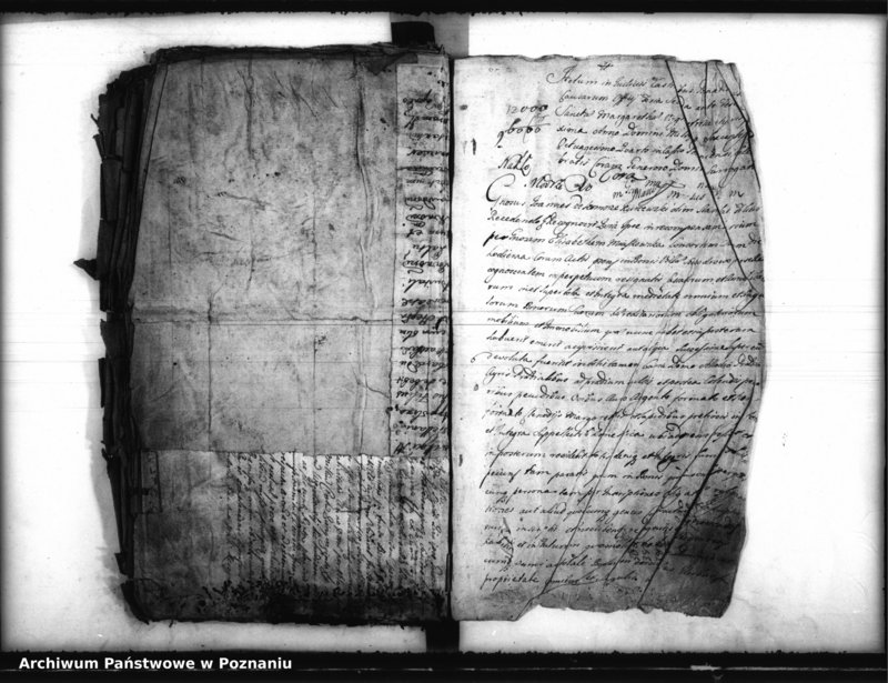 Obraz 5 z jednostki "Inscriptiones, resignationes [protocollon]"