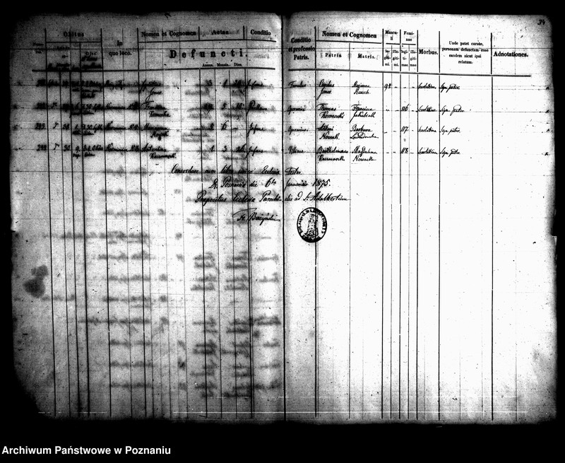 Obraz 19 z jednostki "Księga zgonów"