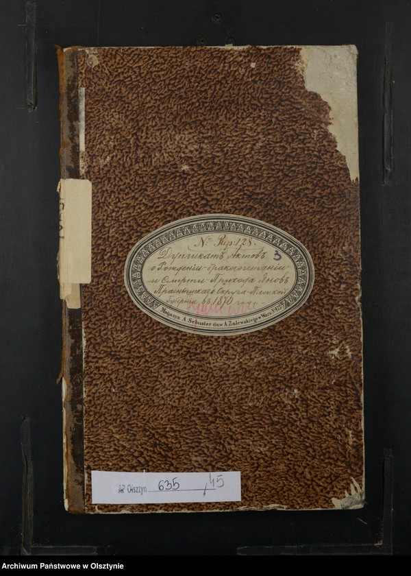 image.from.unit.number "Duplikat˝ Aktov˝ o Roždenìi, Brakosočetanìi i Smerti iz˝ Prihoda Ânov˝ Prasnyšskago Okruga Plockoj Gubernìi v˝ 1869 godu [Duplikat. Akta urodzeń, małżeństw i zgonów Parafii Janowo Obwodu Przasnyskiego Guberni Płockiej w 1870 rok]"