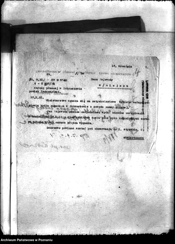 Obraz 8 z jednostki "Zaraza płucna - Leszno"