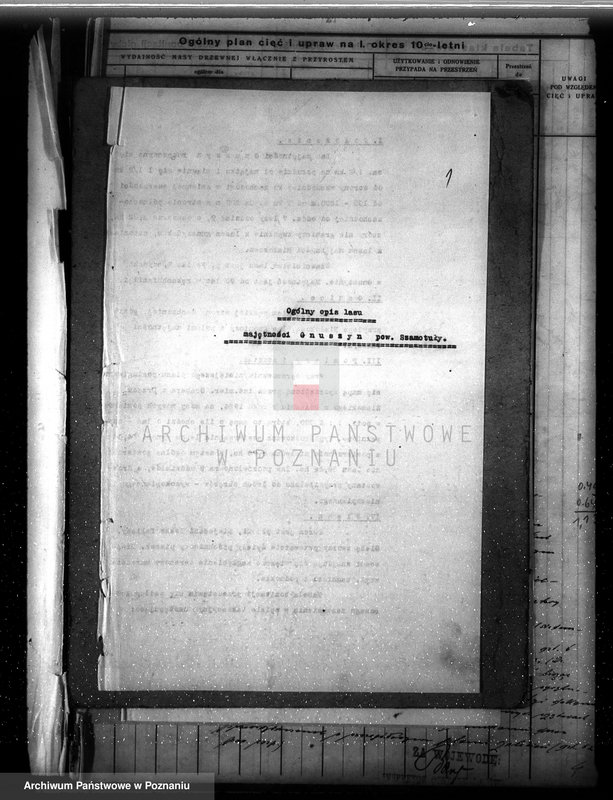 Obraz 5 z jednostki "Dodatkowy plan urządzenia gospodarstwa leśnego dla lasu majętności Grzuszyn powiat szamotulski 1937-1938"