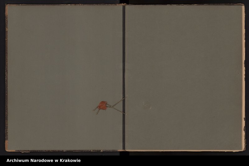 image.from.unit.number "Księga obejmująca wpisy wypadków śmierci Izraelitów w okręgu metrykalnym Krakowskim na rok 1891"