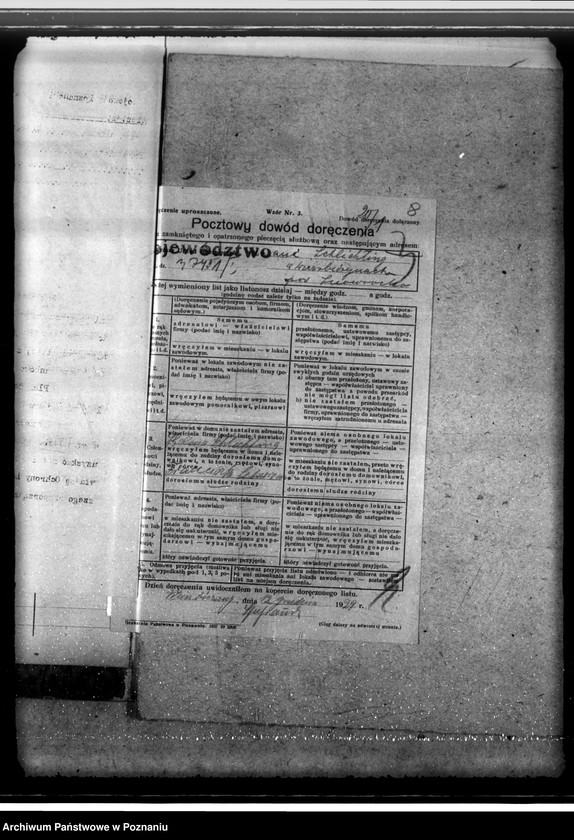 Obraz 12 z jednostki "Las majętności Wierzbiczany w powiecie inowrocławskim"