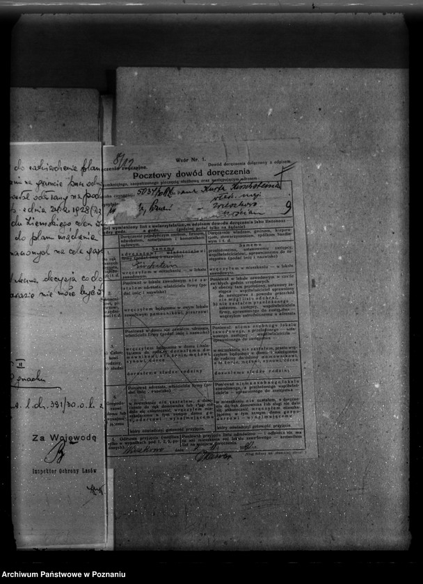 Obraz 14 z jednostki "Majętność /leśna/ Wieszkowo powiat kościański"