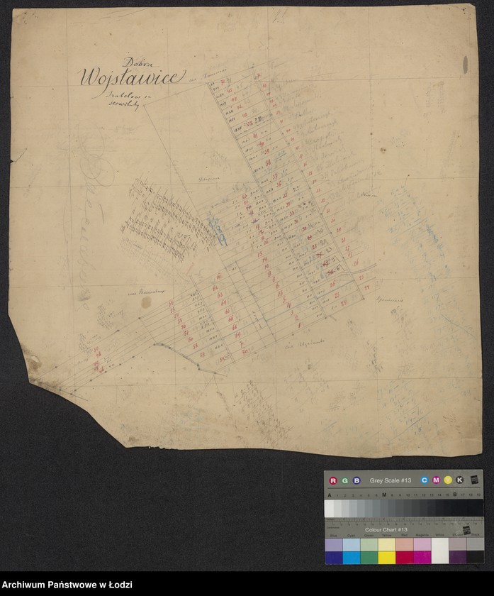 Obraz 1 z jednostki "Dobra Wojsławice"