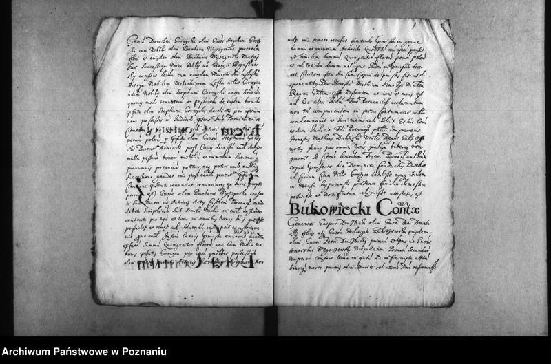 Obraz 14 z jednostki "Decreta [inducta]"