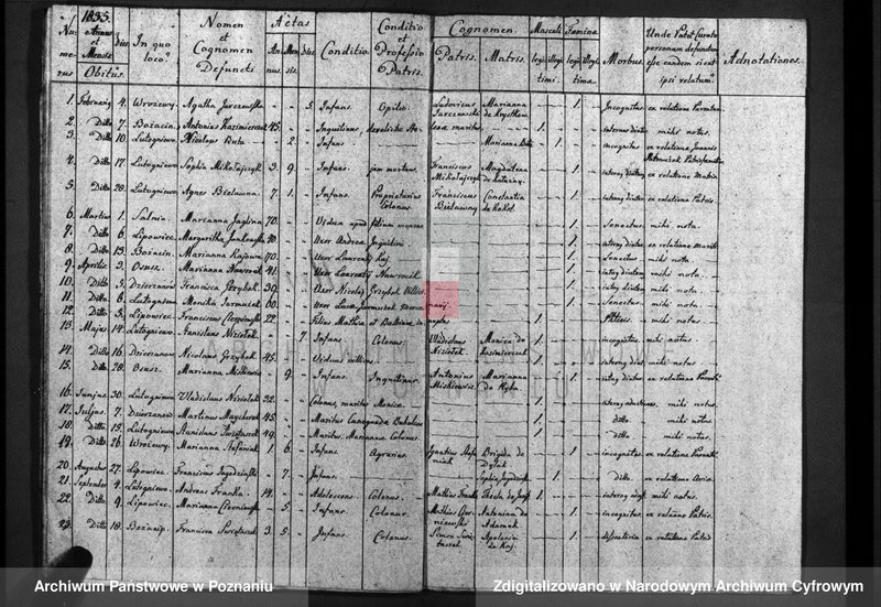 image.from.unit.number "Duplicatum baptisatorum, copulatorum, mortuorum"