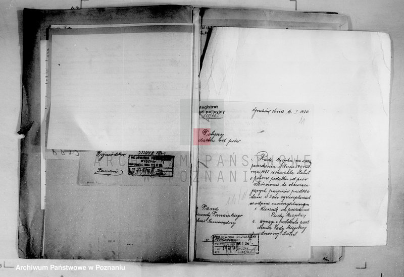 Obraz 12 z jednostki "Podatki Komunalne miasta Grabowa"