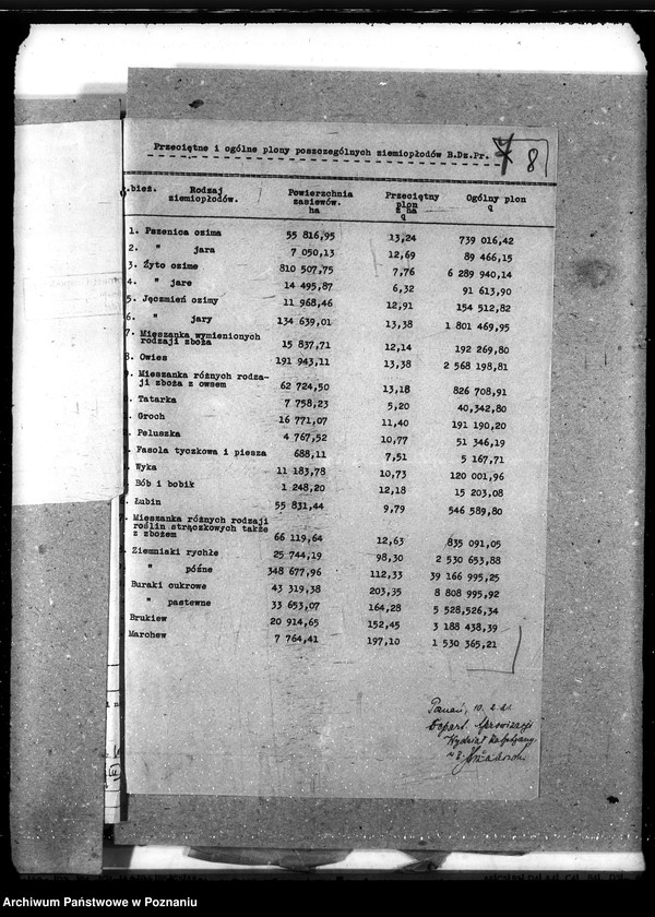 Obraz 13 z jednostki "Statystyka"